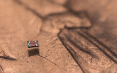 Dünyanın en küçük robotu insan vücudunda seyahat edecek