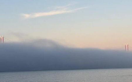 Çanakkale Boğazı'nda gemi trafiğine sis engeli