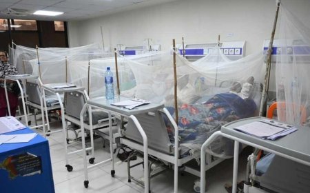 SON DAKİKA HABERLER: Virüsler tüm ülkeyi sardı! Kalıcı yürüme güçlüğüne neden oluyor: Çaresi bulunamıyor