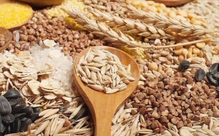 Güneydoğu'dan 3,2 milyar dolarlık hububat ihracatı yapıldı