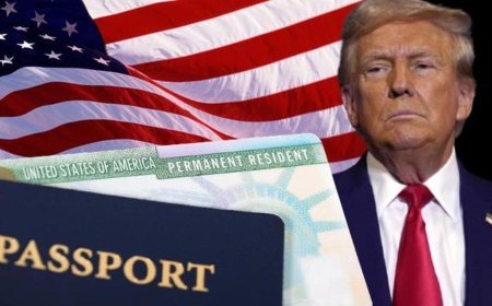 Kökeni 85 yıl önceye dayanıyor! Trump’ın durdurduğu ‘Yeşil kart’ uygulaması nasıl başladı?