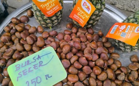 Fiyatı yüz güldürdü. Kışın vazgeçilmezine yoğun rağbet