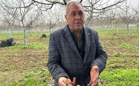 Dönümü 500 bin lira! İş adamları ve gençlerin ilgisini çekti, yatırım için geliyorlar