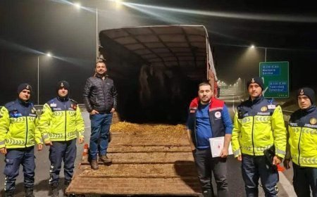 Tekirdağ'da belgesiz hayvan sevkine 134 bin lira ceza