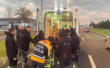 Köpeğe çarpan otomobilin sürücüsü yaralandı