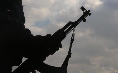 DEAŞ’ın sözde valisi 'Ebu Ömer Tayba' yakalandı