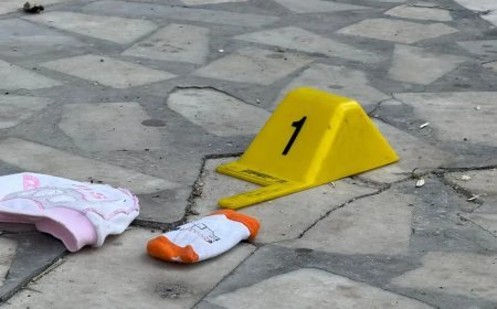 Böyle vicdansızlık görülmedi. Sinir krizi geçirip iki aylık bebeğini camdan attı