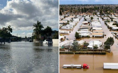 ABD'de 6 bölgede acil durum ilan edildi! 165 bin ev karanlığa gömüldü