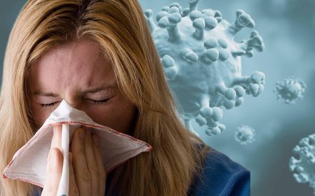 SON DAKİKA HABERLER: 'Bir aydır hastayım' diyenler dikkat! Tedavisi yok, kapı kolunda 14 gün yaşıyor