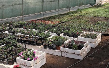 Fide sektörüne yönelik rekabet soruşturması başlatıldı