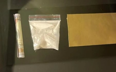 Ünlülere uyuşturucu soruşturması. 17 şüpheli tutuklandı