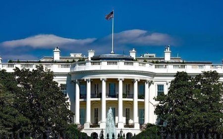 Beyaz Saray'da bebek heyecanı! Hamile olduğunu duyurdu