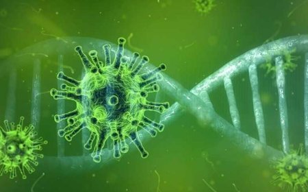 Komşuda 1 yılda 1985 vaka! 450 bin hayvan itlaf edildi