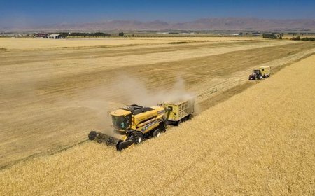 Tarım ve Kırsal Kalkınmayı Destekleme Kurumu 42 uzman alacak