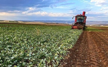 Çiftçi Kayıt Sistemi'ne kayıtlarda son 3 gün