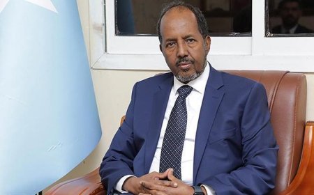 İsrail-Somaliland krizinin ardından Somali Cumhurbaşkanı, Türkiye'ye geliyor