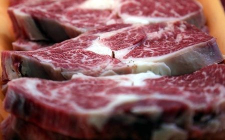 Kırmızı et sektöründen kalıcı istikrar için yerli üretim vurgusu