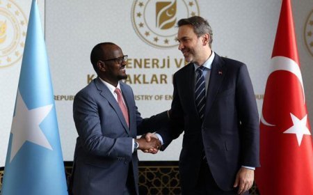 Bakan Bayraktar, Somali Petrol Bakanı Mohamed ile işbirliği imkanlarını değerlendirdi