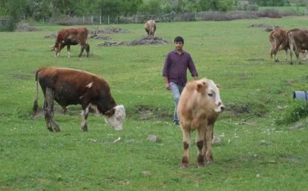 Tarımda zorlu koşullar yeni yılı şekillendiriyor, beklentiyi artırıyor! Risk ve fırsat yan yana