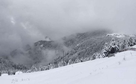 İspanya'da felaket! Çığ düştü, ölüler var