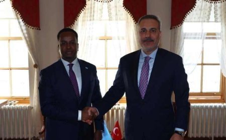 Dışişleri Bakanı Hakan Fidan, Somalili mevkidaşı Abdi Ali'yi kabul etti
