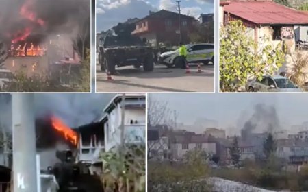 Terör örgütü DAEŞ neden Yalova'yı seçti?