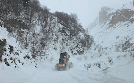 Artvin'de çığ düştü. Üç çobandan birinin cansız bedeni buşundu