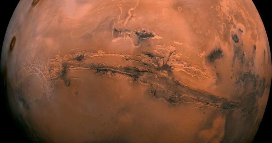 "Ölü taklidi yapan” mikroplar Mars'a gönderilmiş olabilir