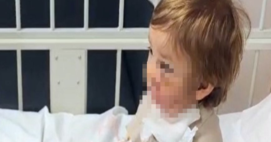 İki kardeşe saldıran pitbullun sahibi konuştu: "Koruma içgüdüsüyle saldırdı."