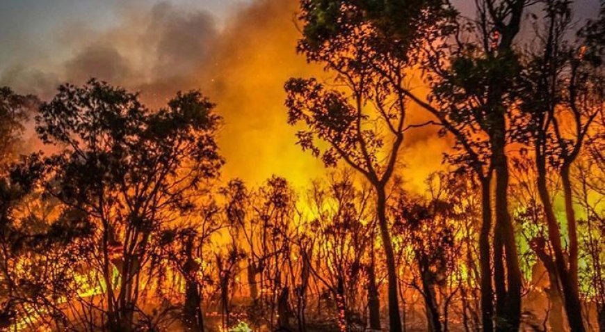 Avustralya kabusu yaşıyor! Hızla yayılan yangında 16 ev küle döndü