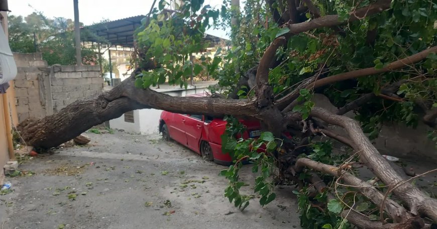 Hatay'da fırtına ağaçları devirdi, çatıları uçurdu