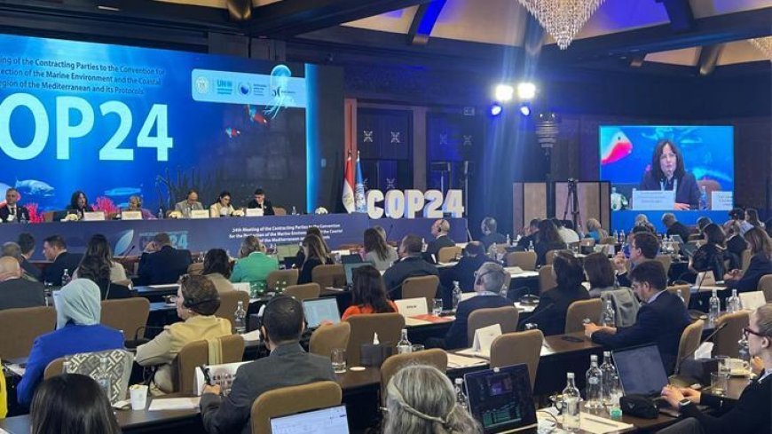 Türkiye, Akdeniz'de iklim değişikliği ile mücadelede de lider ülke olacak