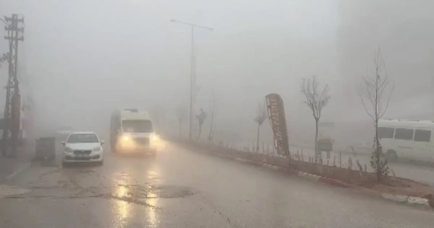Besni'de yoğun sis etkili oldu