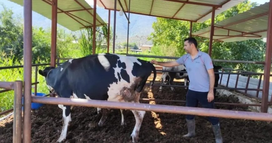 Milas'ta 11 mahalle karantinaya alındı