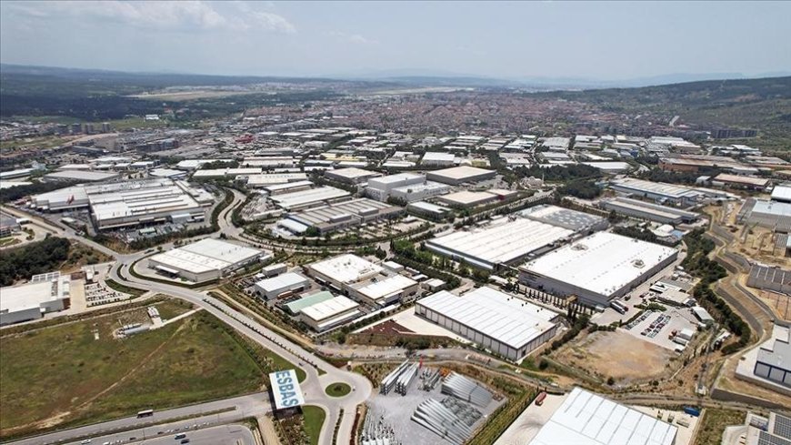 Serbest bölgelerden yapılan ihracat 915,7 milyon dolara yükseldi