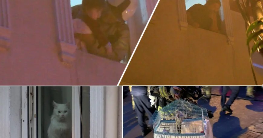 Apartman yangınında can pazarı