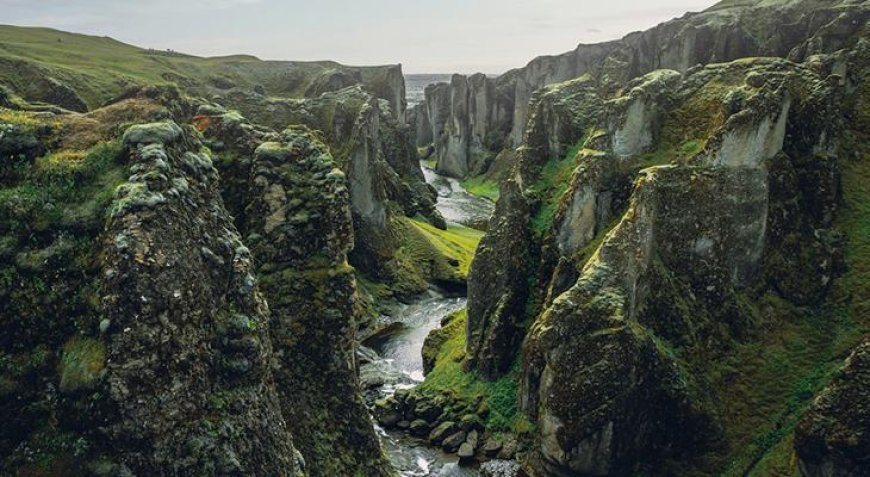 Ünlü milyarderden akılalmaz meydan okuma! ‘İspatlayana şirketimi devredeceğim’