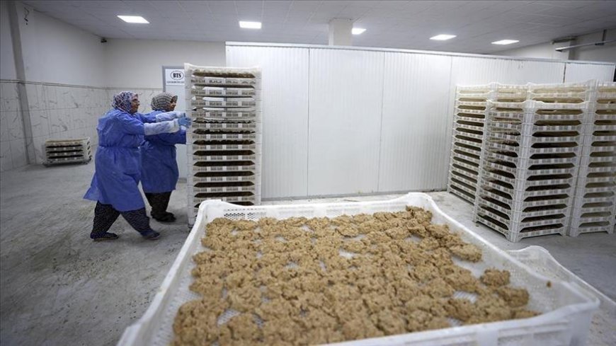 Malatya tarhanası ihracata hazırlanıyor