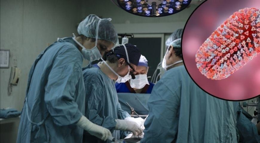 SON DAKİKA HABERLERİ: Kuduzdan ölen kişinin organı nakledildi, bir ölüm daha geldi! İhmal mi?