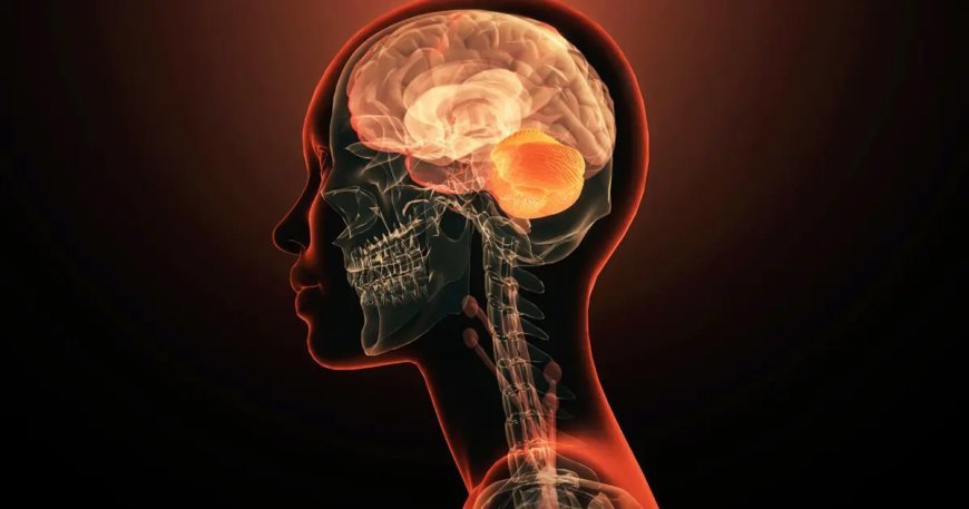 Anılarınız sandığınız kadar güvenilir olmayabilir. Beynimiz geçmişi sürekli "yeniden yazıyor"