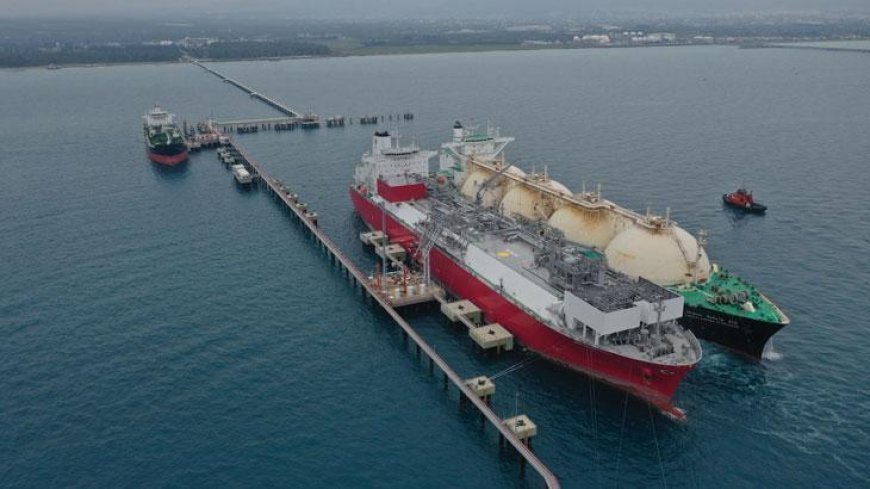 Bazı tarım ürünlerinin azami depolama süreleri uzatıldı