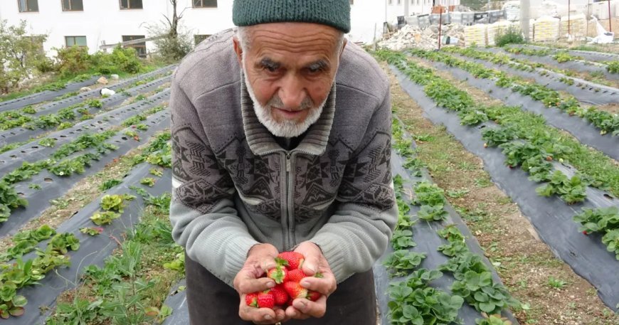 Türkiye onu "Hayır Bahçesi" ile tanıdı, 30 yıldır ücretsiz dağıtıyordu. İbrahim dede hayatını kaybetti
