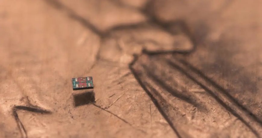 Dünyanın en küçük robotu insan vücudunda seyahat edecek