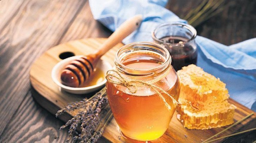 ‘Gerçek bal 650 TL’den aşağı olmaz’