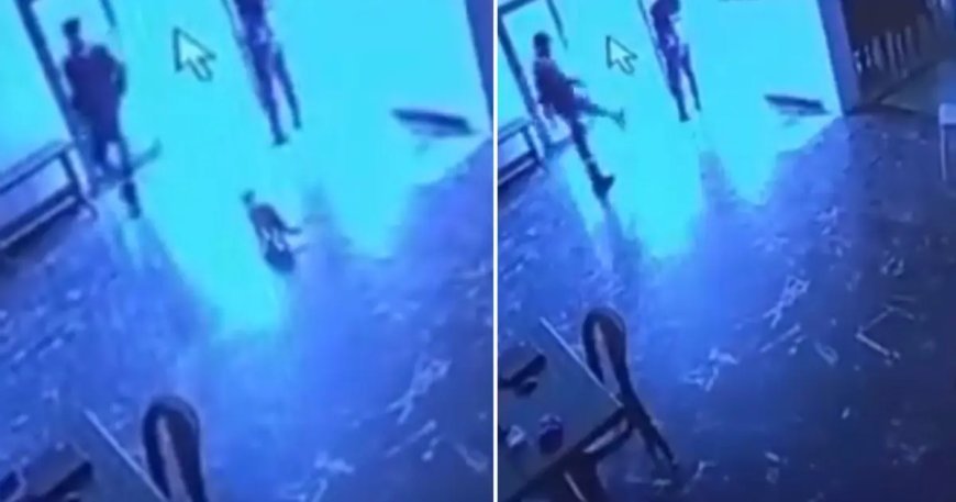 Belediye görevlisi salona giren kediye tekme attı