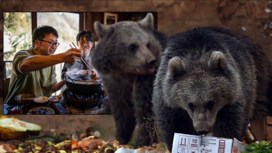 SON DAKİKA HABERLER: İnsan yiyen ayılar şimdi menüde! Talep patladı, restoranlar yetişemiyor