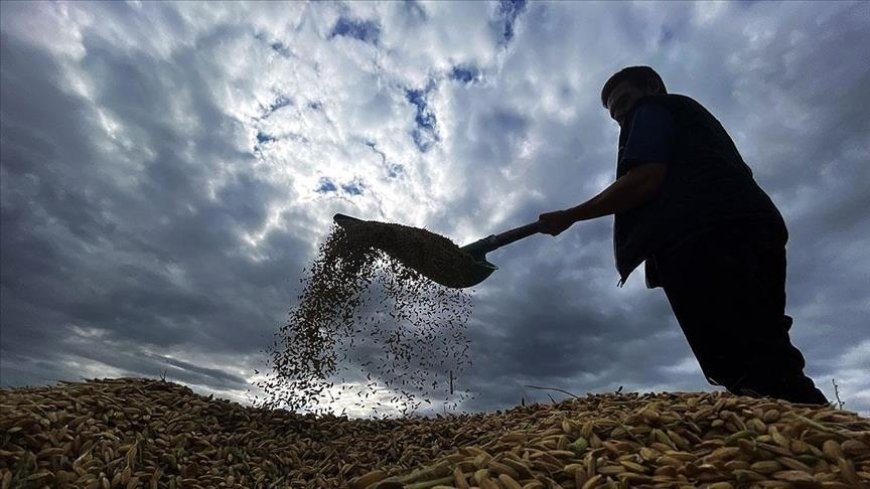 Çiftçilere 1,7 milyar lira tarımsal destekleme ödemesi bugün yapılacak