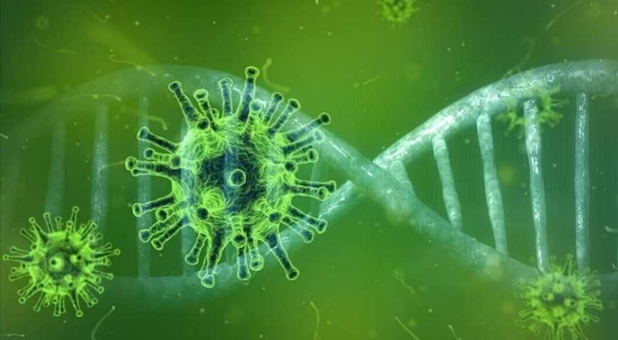 Komşuda 1 yılda 1985 vaka! 450 bin hayvan itlaf edildi