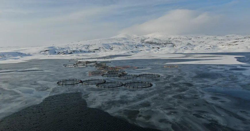 Bir ilçe dondu. Türkiye'nin en soğuk yeri