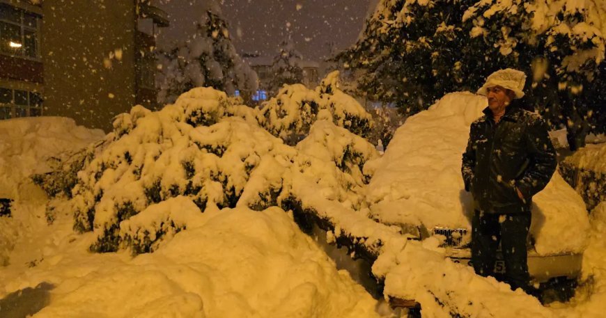 Çam ağacı ağaçların üzerine devrildi